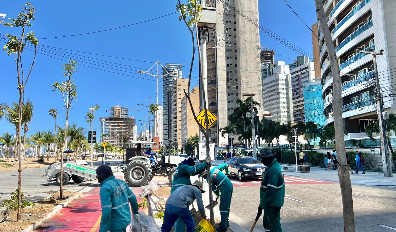 homens plantando uma árvore